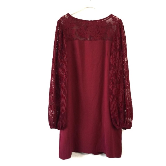 PLEATED LACE SHIFT DRESS - Picture 5 of 5